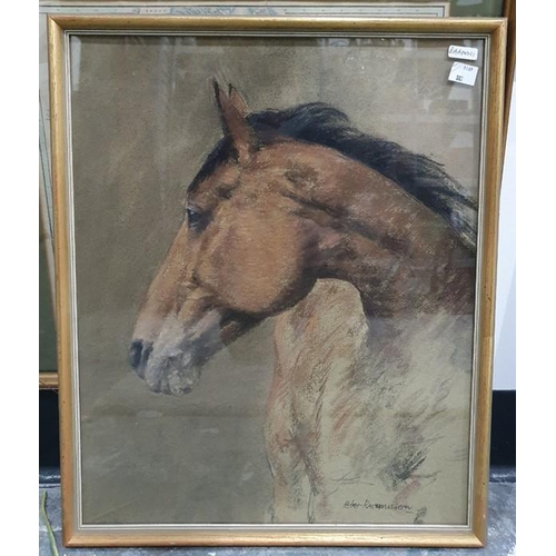 413 - Peter Rasmussen (late 20th century school)
 Pastel 
 Study of a horse, labelled verso and signed low... 