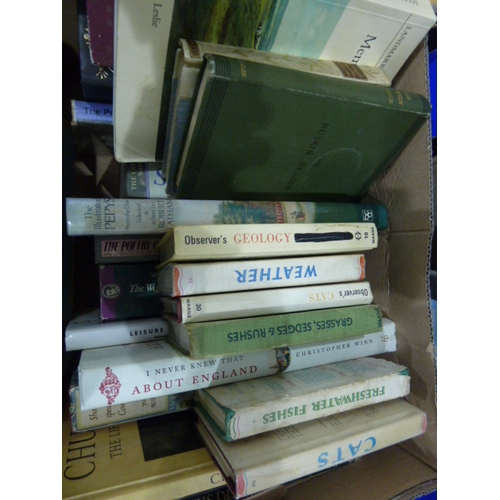 243a - Quantity of books relating to Art - Observer Books, topography and other vols ( 5 boxes)