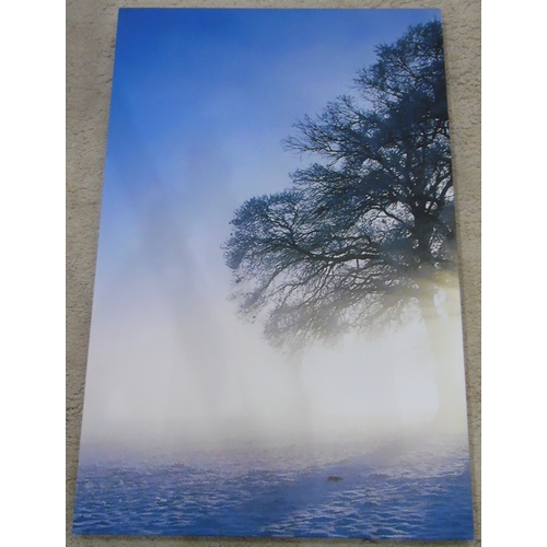 375B - Two Modern Prints on Canvass, one in two parts of tree in misty sunrise, the other a sea and skyscap... 