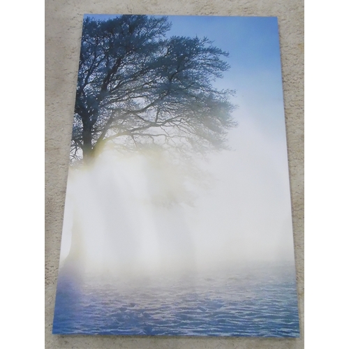 375B - Two Modern Prints on Canvass, one in two parts of tree in misty sunrise, the other a sea and skyscap... 