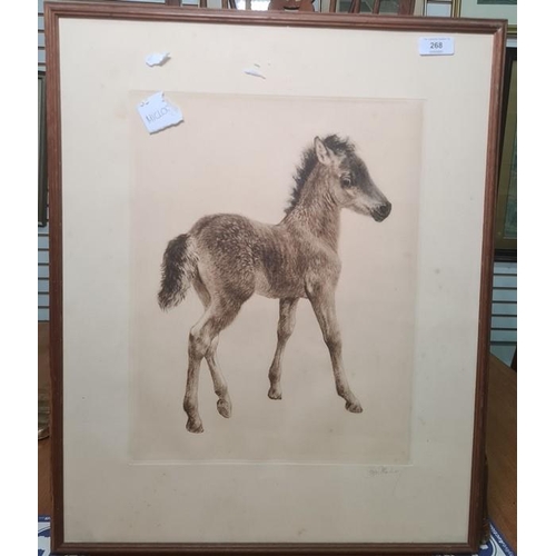 268 - After Kurt Meyer-Eberhardt (German 1895-1977)
 Coloured etching
 Foal, signed in pencil, 39cm x 30cm