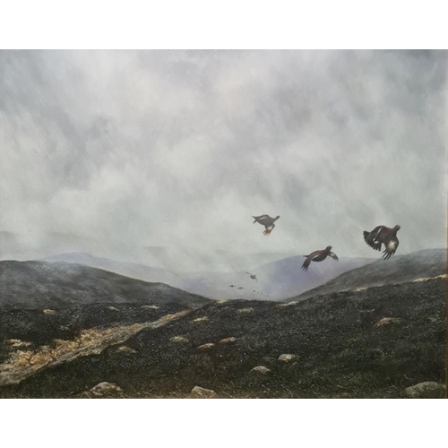 290 - Michael Sawdy 
 Oil on canvas
 Grouse in flight over moorland, signed upper left, 29.5cm x 59cm