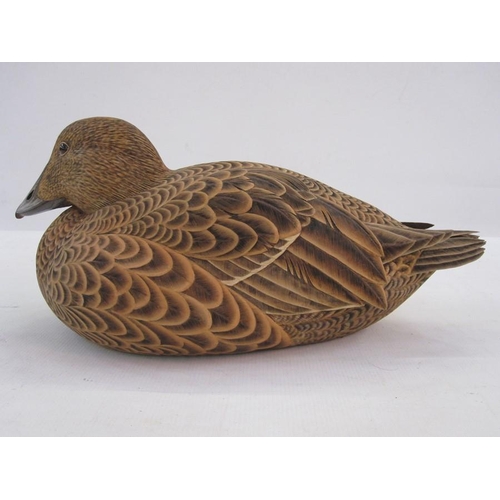 228 - Philip Nelson decoy duck of female eider duck, marked April 93 to base  17 cms h. x 38 cms length ( ... 