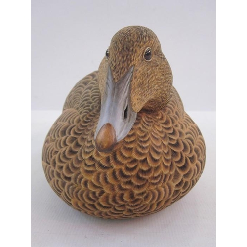 228 - Philip Nelson decoy duck of female eider duck, marked April 93 to base  17 cms h. x 38 cms length ( ... 