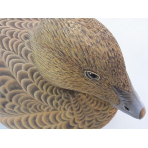 228 - Philip Nelson decoy duck of female eider duck, marked April 93 to base  17 cms h. x 38 cms length ( ... 