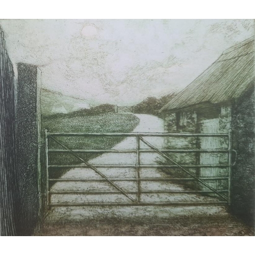 358 - Gillian Stroudley 
 Pair etching and aquatints
 