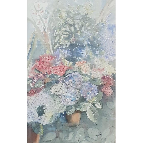 421 - 20th century school
  Watercolour drawing
  Floral study of hydrangeas, unsigned, 53.5 x 33cm