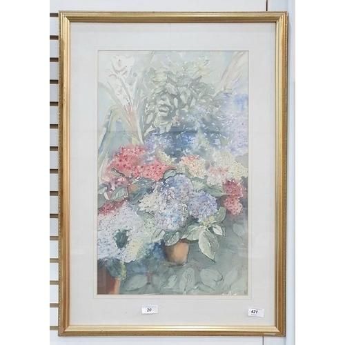 421 - 20th century school
  Watercolour drawing
  Floral study of hydrangeas, unsigned, 53.5 x 33cm