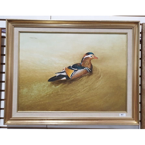 467 - Michael Sawdy (20th century)
 Oil on board
 Mandarin duck
 Signed top left
 43cm x 59.5cm