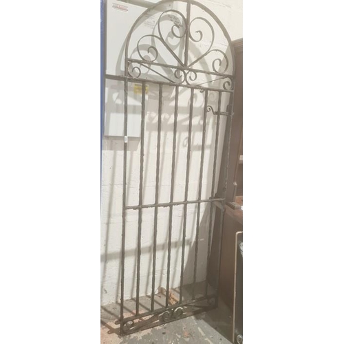 1426 - Wrought iron garden gate, 198cm high x 69.5cm wide