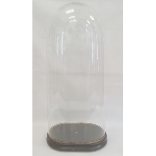 200 - Old glass dome, oval, 80cm high and the wooden base