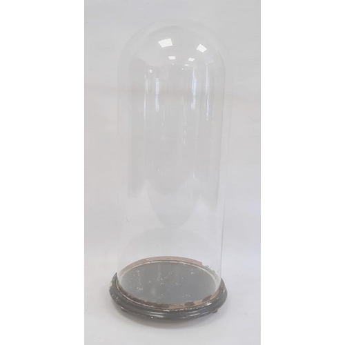 204 - Old glass dome, 47cm high and the painted wood base