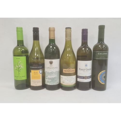 256 - Small selection of white wines including 2005 Chileno Sauvignon Blanc, 2014 Pinot Grigio, etc (6)