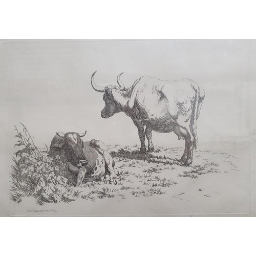 291 - After Robert Hills (1769 - 1844)
 Five engravings from the Etchings of Cattle published 1806, each a... 