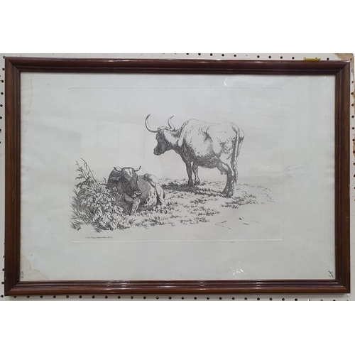 291 - After Robert Hills (1769 - 1844)
 Five engravings from the Etchings of Cattle published 1806, each a... 