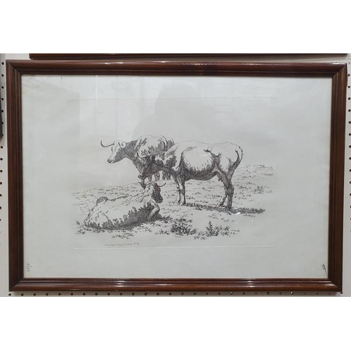 291 - After Robert Hills (1769 - 1844)
 Five engravings from the Etchings of Cattle published 1806, each a... 