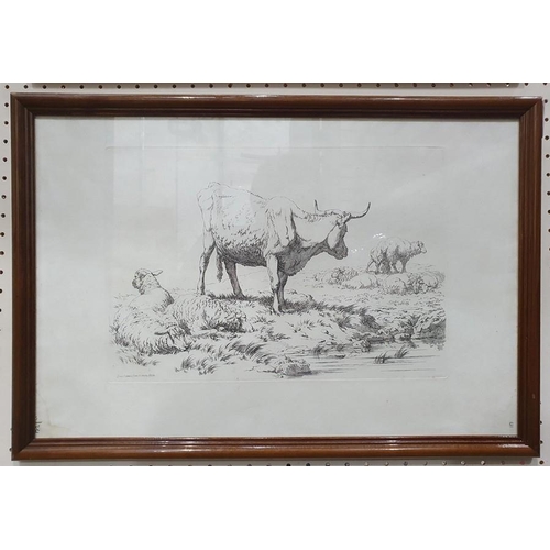 291 - After Robert Hills (1769 - 1844)
 Five engravings from the Etchings of Cattle published 1806, each a... 