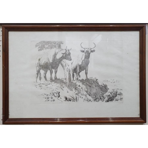 291 - After Robert Hills (1769 - 1844)
 Five engravings from the Etchings of Cattle published 1806, each a... 