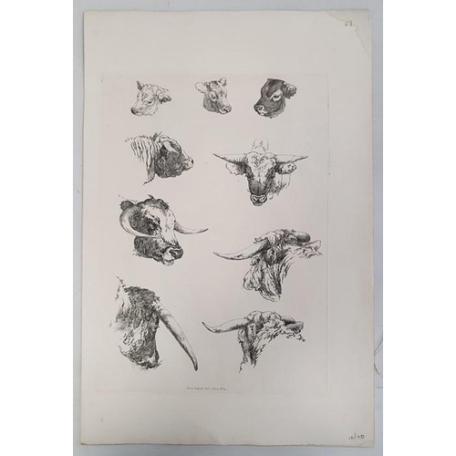 327a - Five prints of cattle, each published in the early 19th century