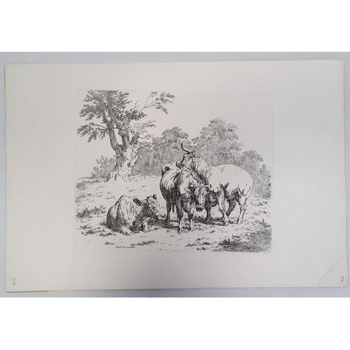 327a - Five prints of cattle, each published in the early 19th century