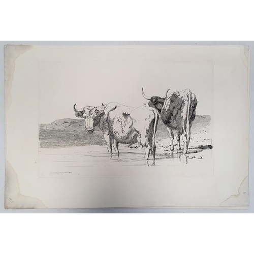 327a - Five prints of cattle, each published in the early 19th century