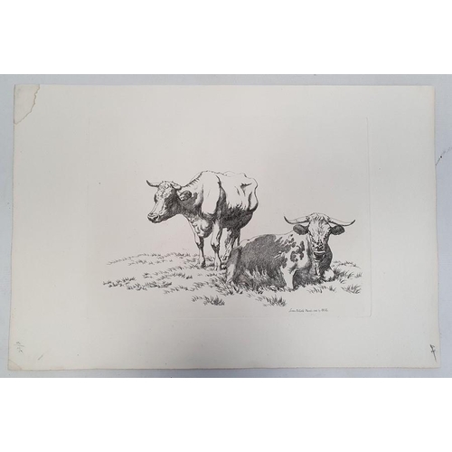 327a - Five prints of cattle, each published in the early 19th century