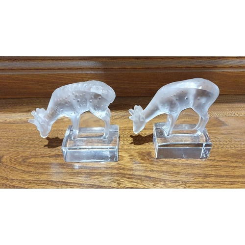 102 - Two Lalique glass models of fawns, with frosted glass bodies, on rectangular clear glass bases, engr... 