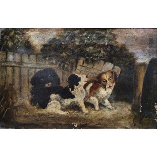 297 - 19th century school
 Oil on canvas
 Three puppies, unsigned, 29.5cm x 45cm 
 19th century school
 Oi... 