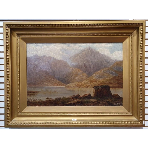 305 - G E Lowe - British 19th century
 Oil on canvas
 Mountainous lake scene, 49.5 x 75cm