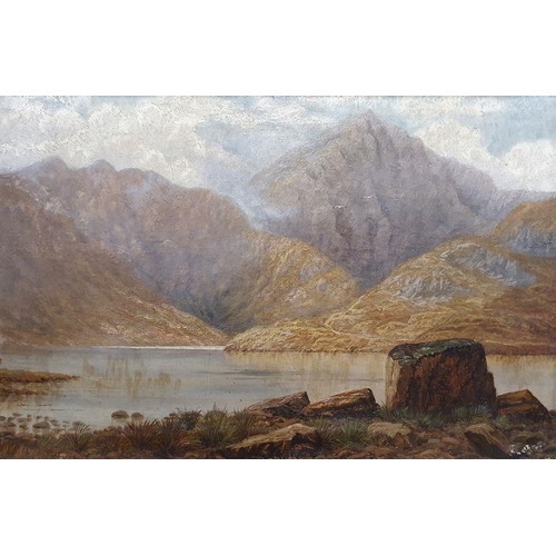 305 - G E Lowe - British 19th century
 Oil on canvas
 Mountainous lake scene, 49.5 x 75cm