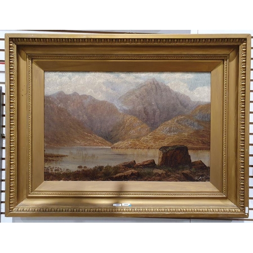 305 - G E Lowe - British 19th century
 Oil on canvas
 Mountainous lake scene, 49.5 x 75cm