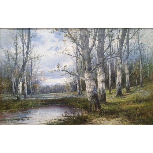 307 - L. Bader - 20th century
 Oil on canvas
 Woodland view with lake in the foreground, signed lower righ... 