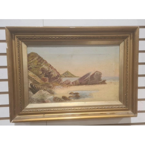 310 - British School - late 19th/early 20th century
 Oil on canvas
 Coastal view, 22 x 34cm