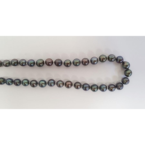 513 - Black cultured pearl necklace with 15ct gold ball clasp