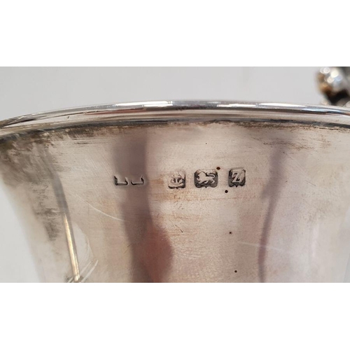 278 - 1920's silver two-handled trophy cup with lion head handles, on circular base, Birmingham 1924, make... 