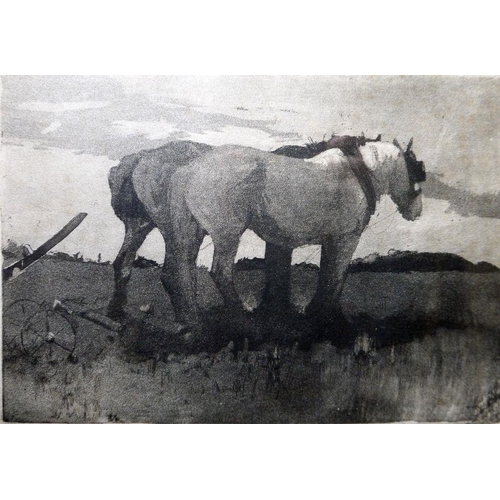 329 - H Green 
 Aquatint 
 Two carthorses, signed in pencil lower right