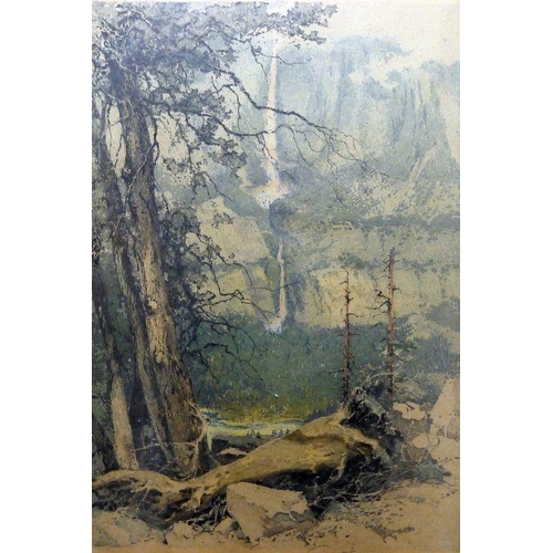 341A - After Luigi Kasimir (1881-1962)
 Etching
 'Yosemite Falls', paper label verso (43 x 29 cm)