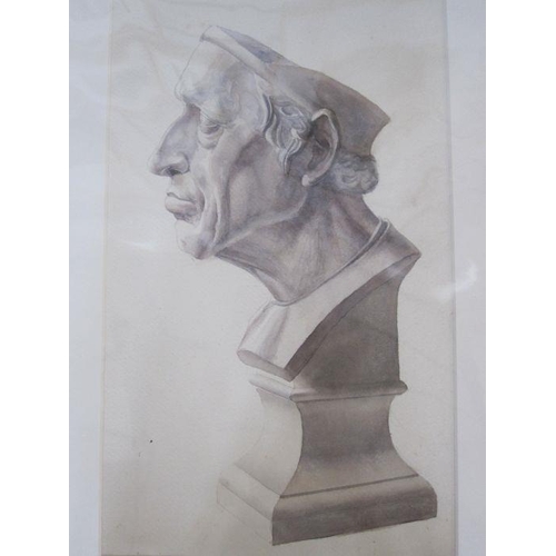 345a - Frances Mary Towers (early 20th century school)
 Pencil, charcoal and wash 
 Various studies to incl... 