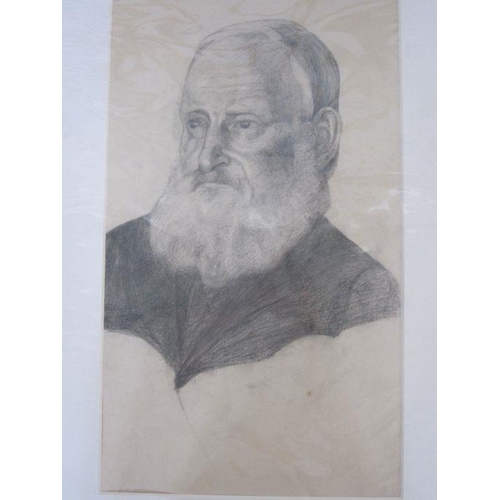 345a - Frances Mary Towers (early 20th century school)
 Pencil, charcoal and wash 
 Various studies to incl... 