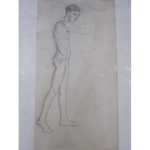 345a - Frances Mary Towers (early 20th century school)
 Pencil, charcoal and wash 
 Various studies to incl... 