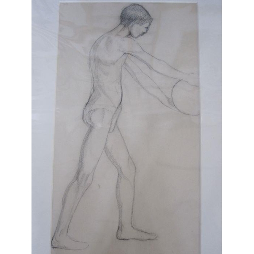 345a - Frances Mary Towers (early 20th century school)
 Pencil, charcoal and wash 
 Various studies to incl... 