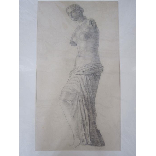 345 - Frances Mary Towers (active 1914-1918) (early 20th century school)
 Pencil and charcoal
 Various stu... 