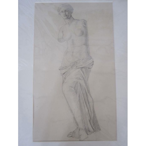 345 - Frances Mary Towers (active 1914-1918) (early 20th century school)
 Pencil and charcoal
 Various stu... 