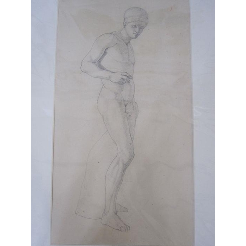 345 - Frances Mary Towers (active 1914-1918) (early 20th century school)
 Pencil and charcoal
 Various stu... 