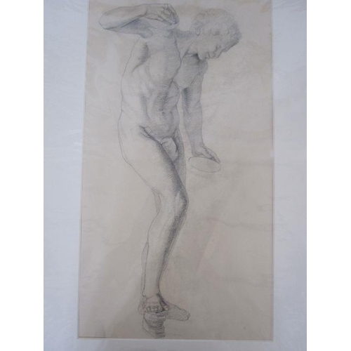 345 - Frances Mary Towers (active 1914-1918) (early 20th century school)
 Pencil and charcoal
 Various stu... 