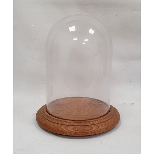 127 - Modern glass dome on circular wooden base, 37cm high