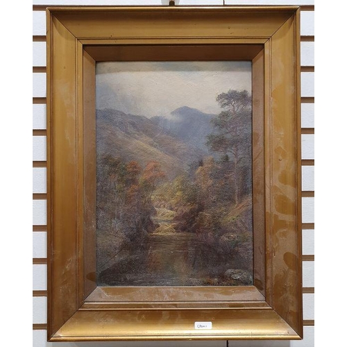 219 - W L Turner (early 20th century)
 Oil on board
 Mountainous river landscape, 34cm x 23cm