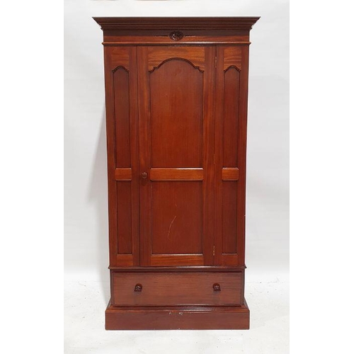 1139 - 20th century mahogany single door wardrobe with moulded cornice above single panelled door, single d... 