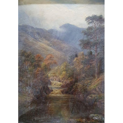 219 - W L Turner (early 20th century)
 Oil on board
 Mountainous river landscape, 34cm x 23cm