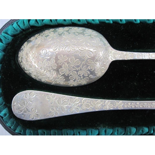 218 - Late Victorian child's silver  bright cut fork and spoon, London 1897, in fitted case, by West & Son... 